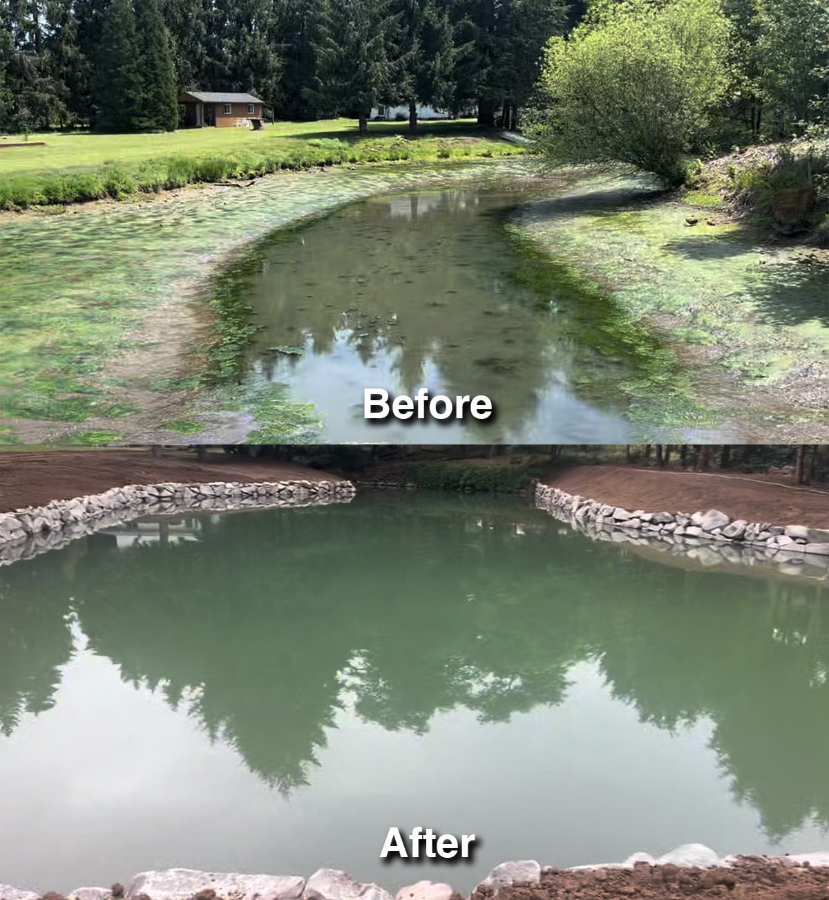 Pond Restoration in Washington and Oregon